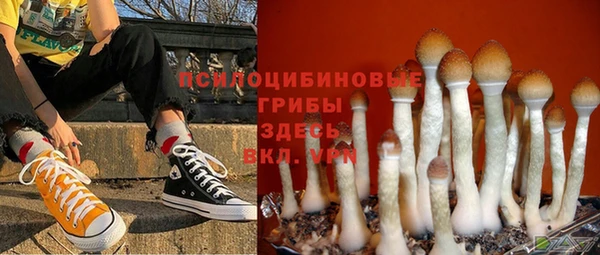 а пвп мука Богородск