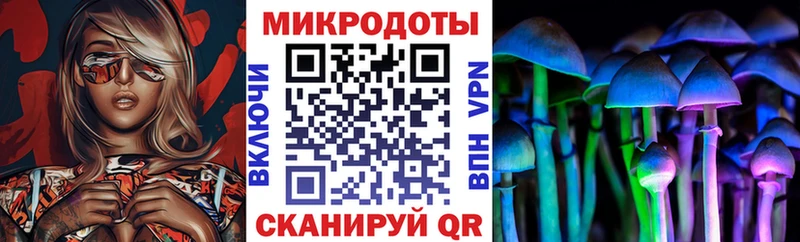 Купить где Партизанск Галлюциногенные грибы Psilocybe